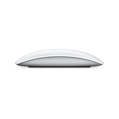 Apple Magic Mouse with Lightning Cable - Black & White