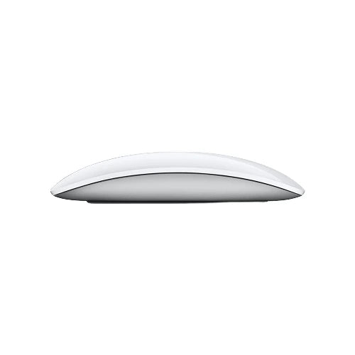Apple Magic Mouse with Lightning Cable - Black & White