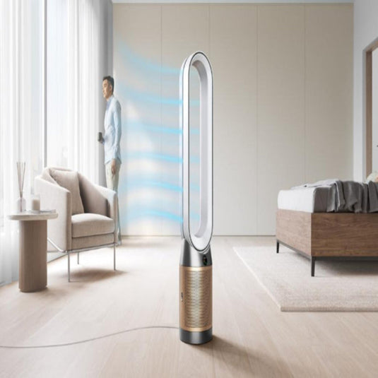 Dyson Purifier Cool PC2 De-NOx