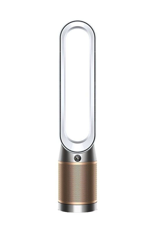 Dyson Purifier Cool PC2 De-NOx