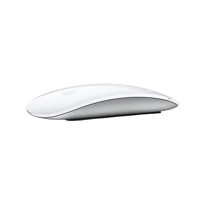 Apple Magic Mouse with Lightning Cable - Black & White