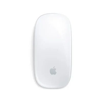 Apple Magic Mouse with Lightning Cable - Black & White